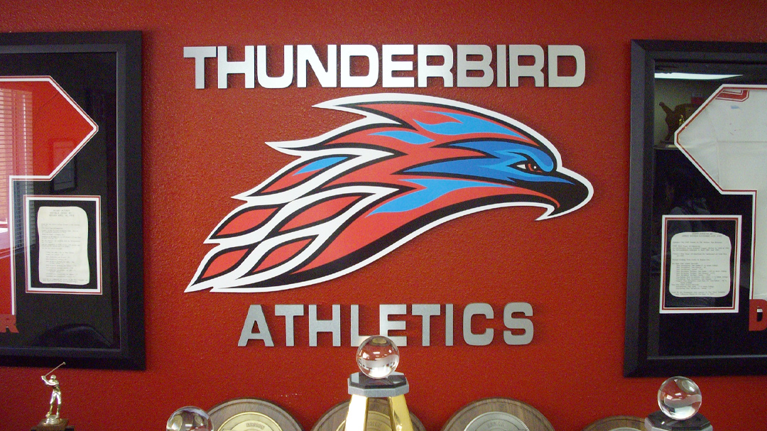 6 Thunderbird Logo TS