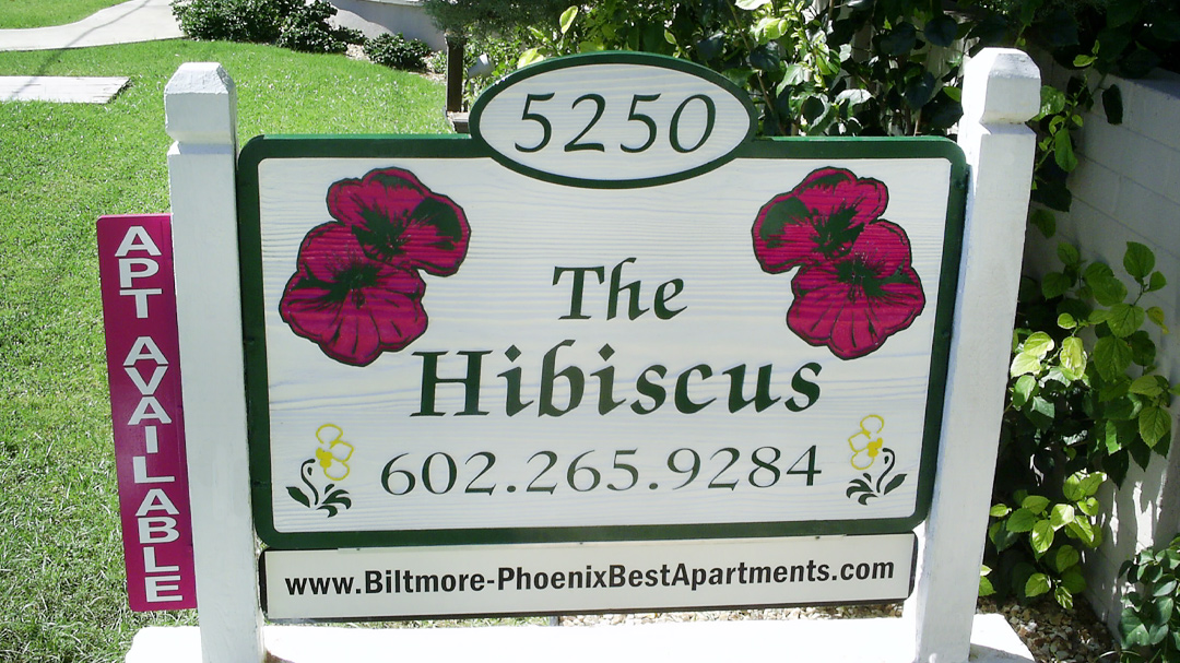 2 The Hibiscus TS